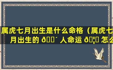 属虎七月出生是什么命格（属虎七月出生的 🌴 人命运 🦈 怎么样）